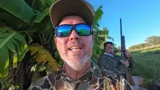 Dove hunting &ldquo;The Shrimp of the Sky&rdquo; Quick and easy recipe.