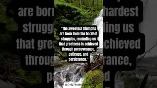 Motivational Quotes - Triumph: A Journey of Resilience and Victory