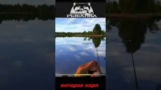 #shorts  #🎮янтарка карп 🎮# Russian Fishing 4#