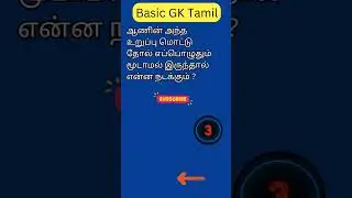 GK 596