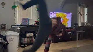 How A Real Man Dances To Gourmet Race