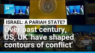 'Lack of political will': Anne Irfan on decades-long West inaction in recognising Palestinian state