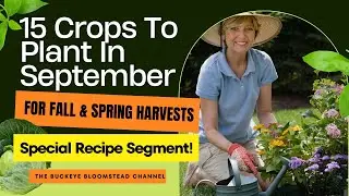 15 Crops to Plant in September for Fall and Spring Harvests