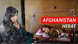 Afghanistan | Herat Province IDPD