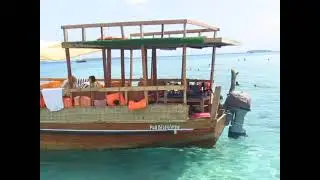 Dolphin Excursions at Wasini
