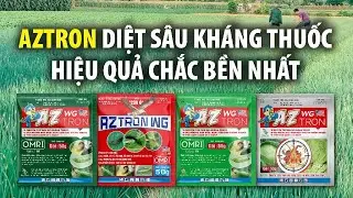 AZTRON WG CỦA MỸ DIỆT S&Acirc;U KH&Aacute;NG THUỐC TỐT NHẤT TR&Ecirc;N RAU M&Agrave;U.