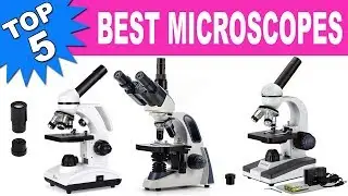 Top 5 Best Microscopes 2020
