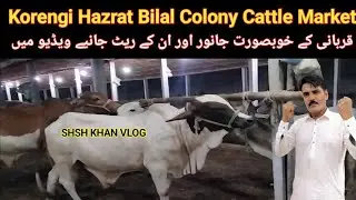 مویشی منڈی حضرت بلال کالونی کورنگی کراچی خوبصورت جانور اور ان کے ریٹ SHAH KHAN VLOG