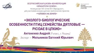 &laquo;Эколого-биологические особенности птиц семейства Дятловые &ndash; Picidae в ЦПКиО, Антоненко А., 9 класс.