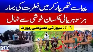 Nature&rsquo;s Magic in Tharparkar | Desert Blooms After Heavy Rain | Flood 2025 | Breaking News