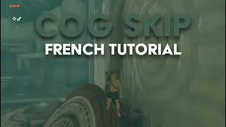 COG SKIP French (Fran&ccedil;ais) Tutorial For Speedrunning | TUTO FR By ZiwakTOTK