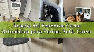 Rese&ntilde;a del Feandrea Cama Ortop&eacute;dica para Perros, Sof&aacute;, Cama para Mascotas, Acolchado Suave, Bordes E