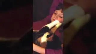 #cat #catfunny #catfunnyvideos #catfunnyvideo
