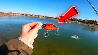 RED CRANKBAIT SLAYS BASS...