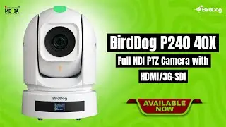 BirdDog P240 40X Full NDI PTZ Camera | Integrated Media Solutions