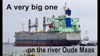 Bulk Carrier VIRGO STELLAR on the river Oude Maas