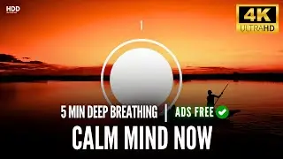 Calm Your Mind in 5 Minutes | Coherent Breathing Guide