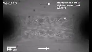 Elastic Alfven waves in elastic turbulence