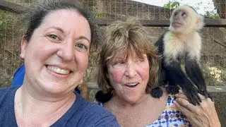 Monkey Encounter - Roatan Honduras 2/7/23
