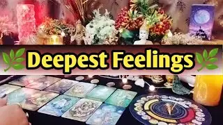❤🌿Deepest Feelings Next Action With Angel Guidance 🌿❤All Signs Collective Timeless Tarot Reading🌈