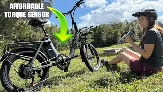 Coswheel Y20L Step-Thru E-Bike | Der G&Uuml;NSTIGSTE Drehmomentsensor, den ich je gesehen habe! | Test...
