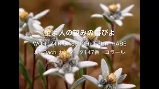 主よ人の望みの喜びよ　J:S:BACH  ソプラノ　工藤篤子　Atsuko Kudo
