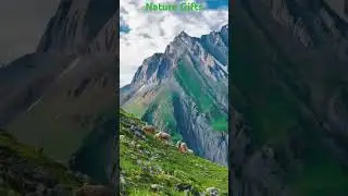 Explore Kashmir valley