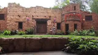 Up! A Great Bird Adventure Full Show Animal Kingdom