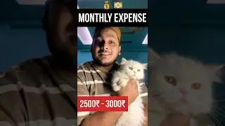 Monthly expense having Persian cat.