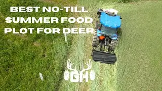 Whitetail Strategy // Best No-Till Summer Foodplot // GUNNAR HANSON