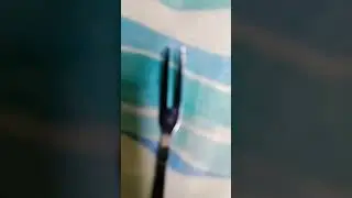 Different types of forks 😤😂😂😂