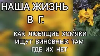 Обзор‼️Наша жизнь в Германии // Как любящие хомяки‼️ ищут виновных там где их нет‼️
