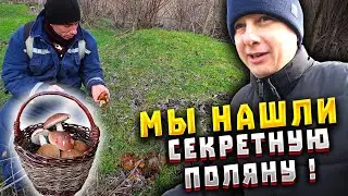 Не поверил своим глазам! Попали на место, где грибов больше, чем листьев. Влог