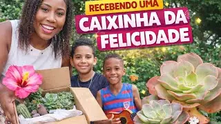 🌼✨ CAIXINHA DA FELICIDADE + MUITAS FLORES LINDAS ✨🌼