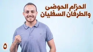 ٥ - أحياء تالته ثانوي - الدعامة في الإنسان | الحزام الحوضي والطرفان السفليان + مراجعة العظام 🦴