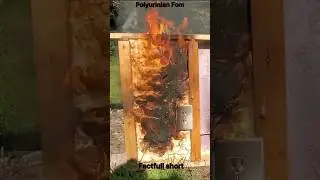 Do you know? Polyurinian fom #shorts #viral #fact