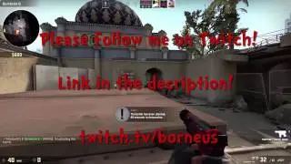 Follow me on Twitch! Twitch.tv/borneus
