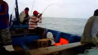 Mancing ngampul