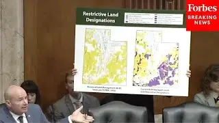 'That Makes Things Very Difficult': Mike Lee Decries Federal Ownership Of Larges Amount Of Utah Land