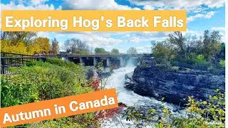 Autumn in Hog's Back Falls | Ottawa, Canada