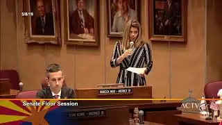Senator Rebecca Rios speaks on gun violence in schools