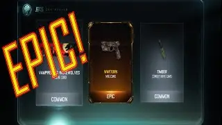 BO3: EPIC MR6 Wartorn Camo