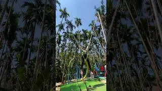 Luxury & adventure in Dandeli &ndash; budget-friendly! #WoodpeckerExotica