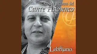 Alta la Frente