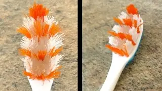 How To Revive A Worn Out Toothbrush