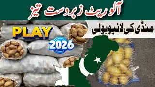 Congratulation | Potato Export, International Market, USA, China, Australia | Potato Rate Today 2026