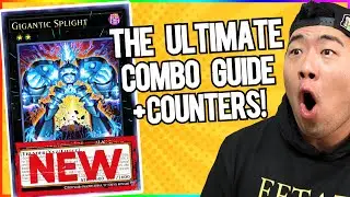 These SPRIGHT Combos are BROKEN! The Ultimate Combo + Counter Guide