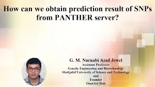 5.2.4. Obtaining prediction result of SNPs from PANTHER server