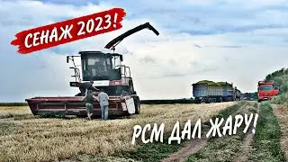 ДОН-680 и РСМ 1401 на уборке сенажа 2023❗