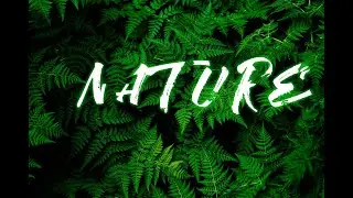 Text Effect ] Text Behind Leaves | leaf Text Effect in Photoshop | Photoshop tutorial